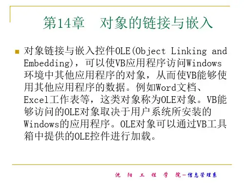 VB对象的链接与嵌入