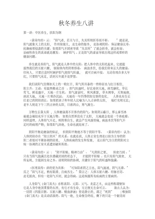扶阳派(中医理论)