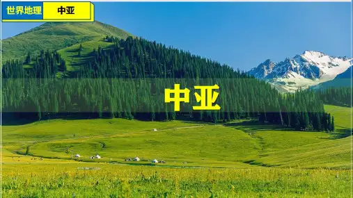 2023届高考地理一轮复习课件 世界地理 中亚