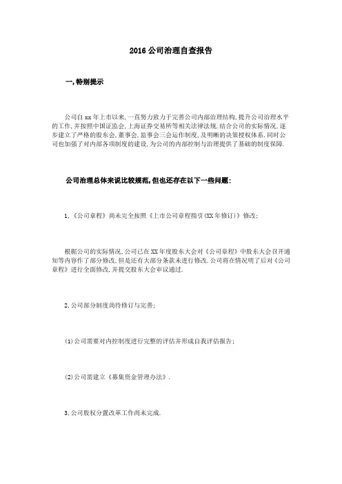 2016公司治理自查报告