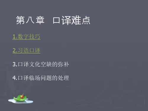 第八章 口译难点