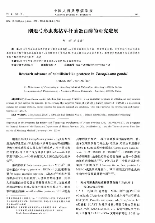 刚地弓形虫类枯草杆菌蛋白酶的研究进展