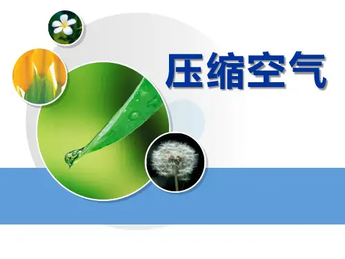 《压缩空气》空气PPT课件