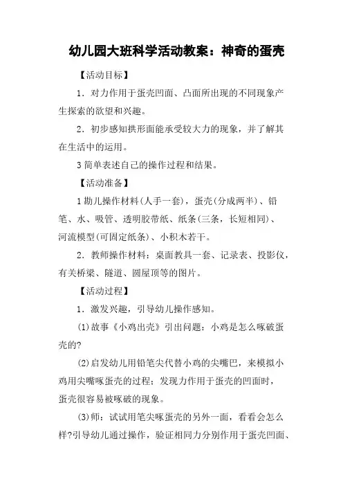 幼儿园大班科学活动教案：神奇的蛋壳