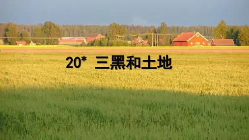 20.三黑和土地