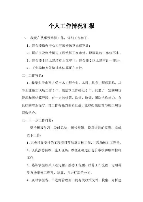 个人工作情况汇报