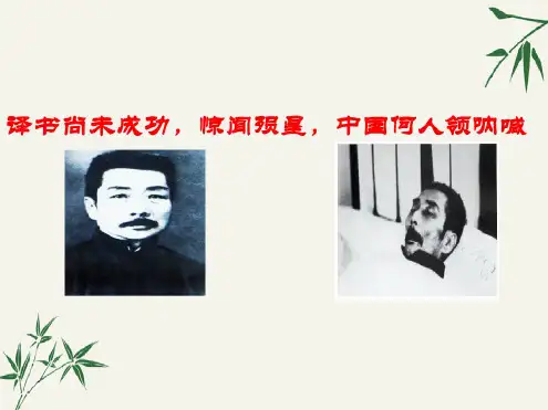 记念刘和珍君课件(上课用)138人教课标版