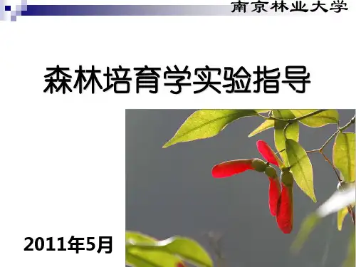 森林培育学实验指导-7