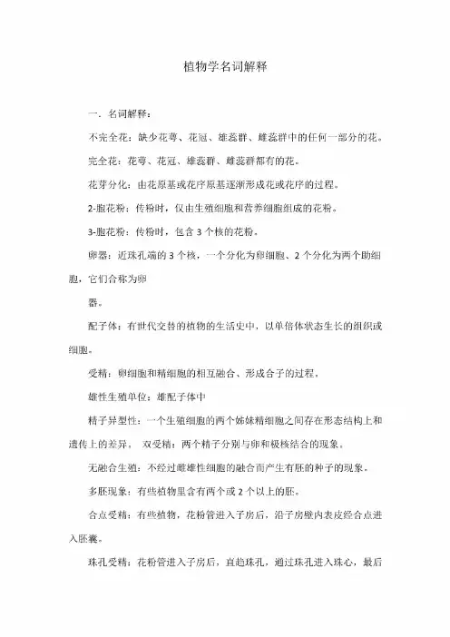 植物学名词解释