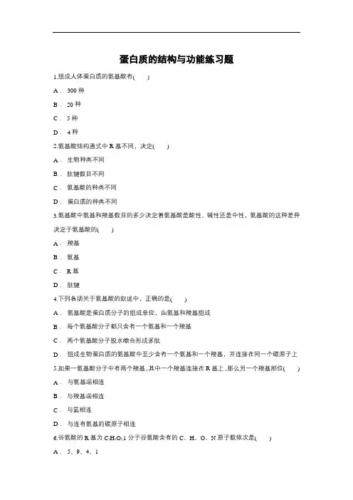 2019届高考生物一轮复习对点精选训练：蛋白质的结构与功能(含解析)