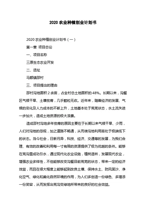 2020农业种植创业计划书
