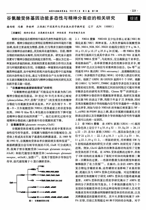 谷氨酸受体基因功能多态性与精神分裂症的相关研究