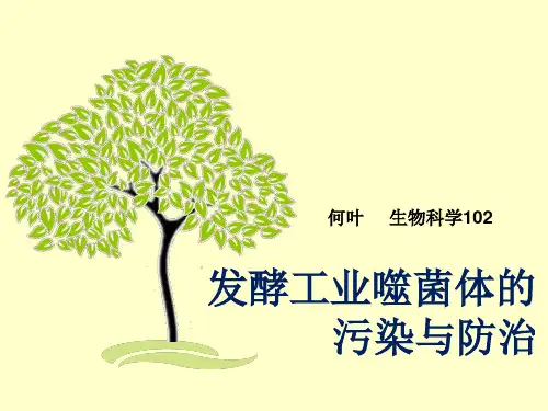 发酵工业噬菌体的污染与防治