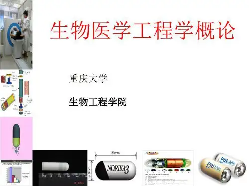 生物医学工程概论 (1) PPT课件