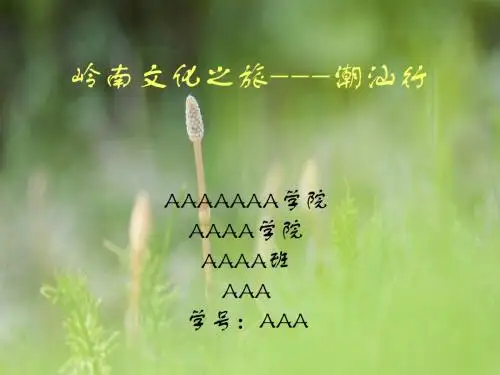 岭南文化之旅--潮汕行