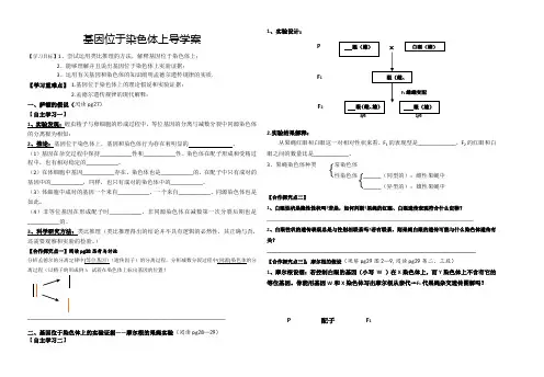 基因位于染色体上导学案高效课堂
