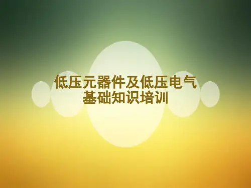低压元器件及低压电气基础知识培训 PPT