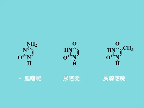 有机化学杂环