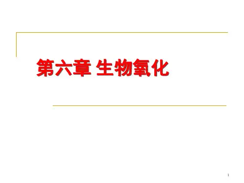 6第六章 生物氧化 - 11.4 第二节OK