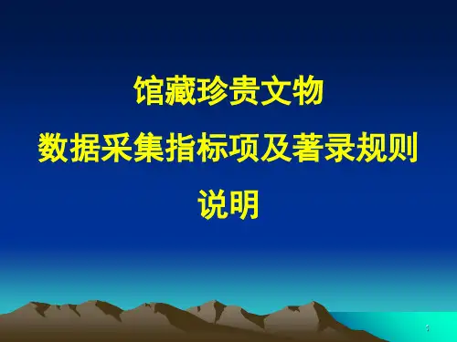 馆藏珍贵文物数据采集指标项及着录规则说明-精品教育文档