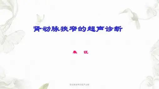 肾动脉狭窄的超声诊断ppt课件