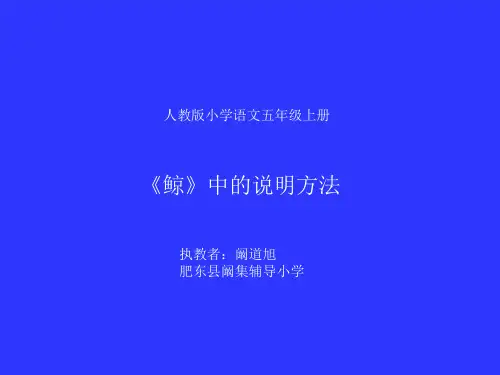 《鲸》中的说明方法