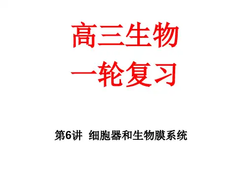 第6讲:细胞器与生物膜系统 高三一轮复习