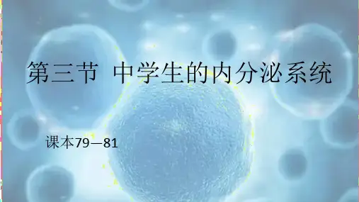 第三节  中学生的内分泌系统前半部分
