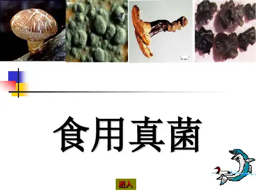 食用真菌