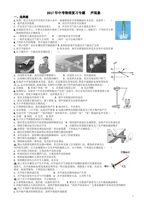 2017年中考物理复习专题《声现象》