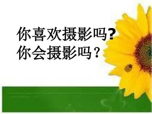 6.《小摄影师》PPT课件 (2)