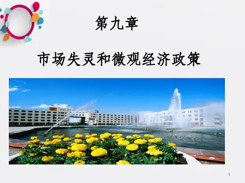 市场失灵与微观经济政策_OK