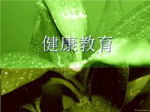 健康教育71027 PPT课件