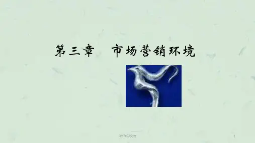 第三章市场营销环境课件