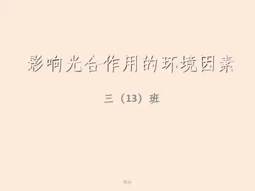 影响光合作用的环境因素