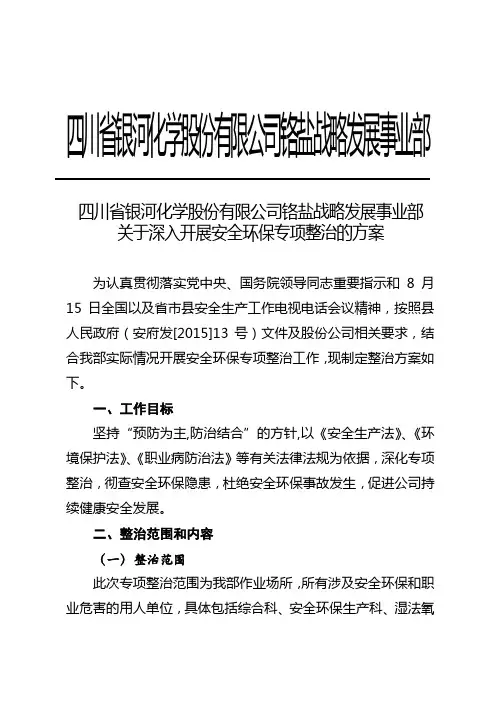 安全专项整治方案
