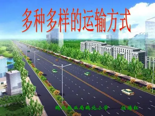 多种多样的运输方式全)