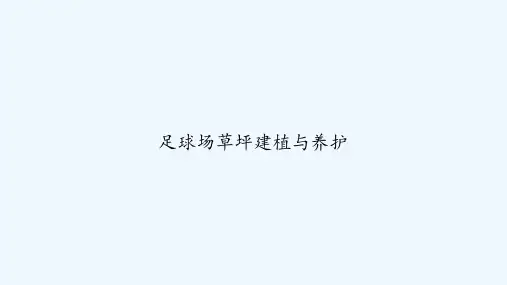 足球场草坪建植与养护 PPT
