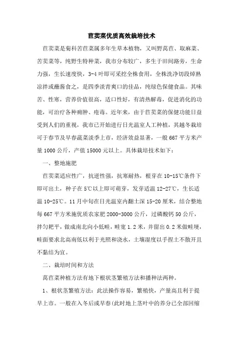 苣荬菜优质高效栽培技术