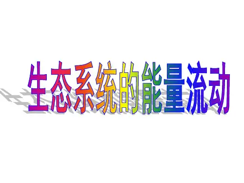 14年高三摩课能量流动