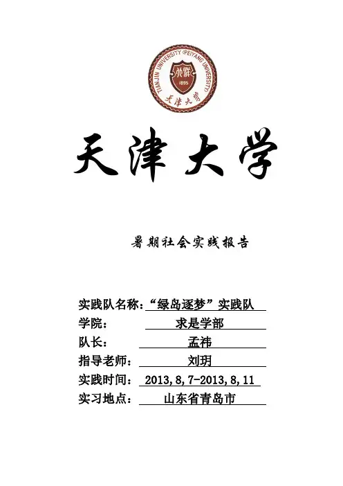 实践报告综合版
