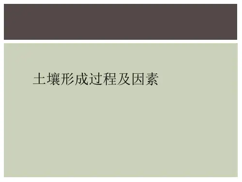 土壤形成过程及因素