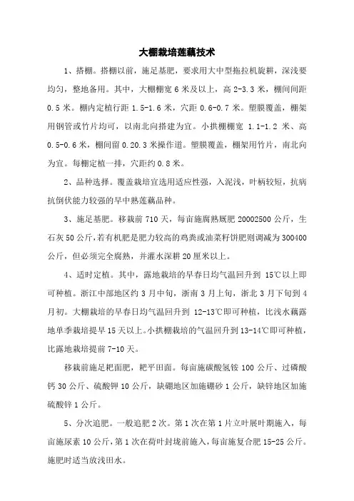 大棚栽培莲藕技术