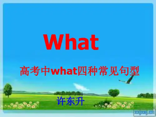 What引导的名词性从句的翻译方法