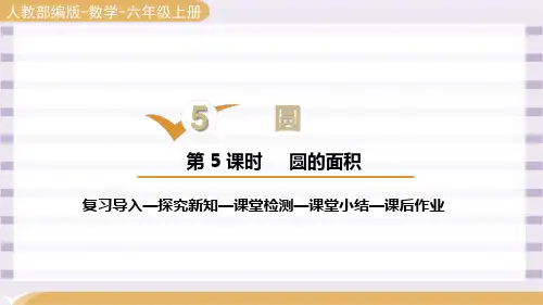 人教版六年级数学上册第五单元《圆的面积 》第五课时