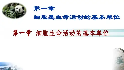 《细胞是生命活动的基本单位》PPT新教材3
