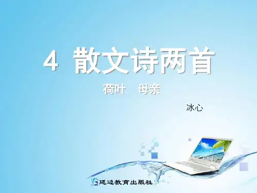 4荷叶母亲精品PPT课件