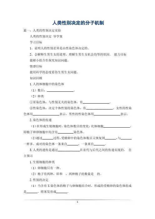 人类性别决定的分子机制