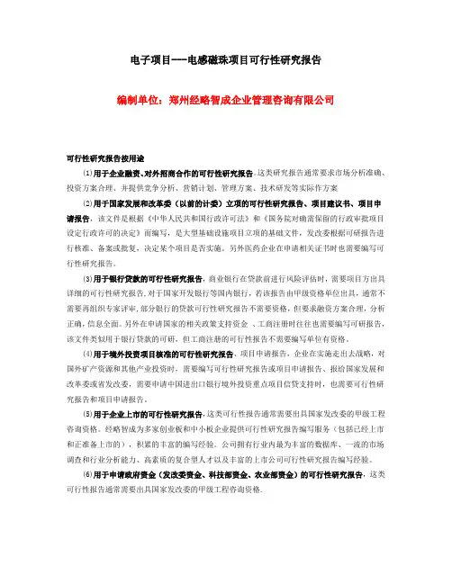电子项目可行性分析报告