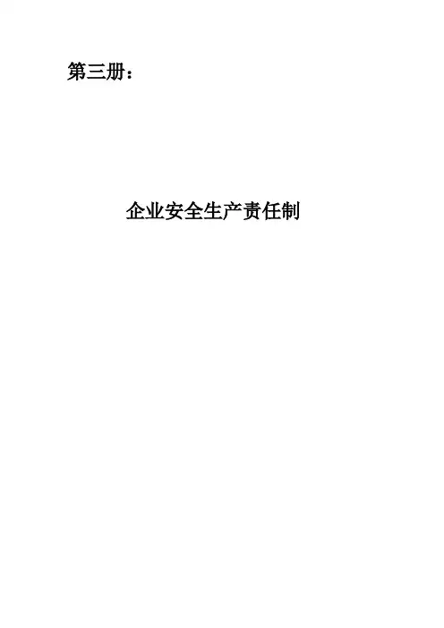 安全生产责任制汇编及发布文件